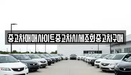 서울 종로구 장사동 중고차매매 전문 중고차매매사이트중고차시세조회중고차구매