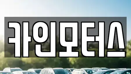 서울 종로구 장사동 중고차매매 전문 카인모터스