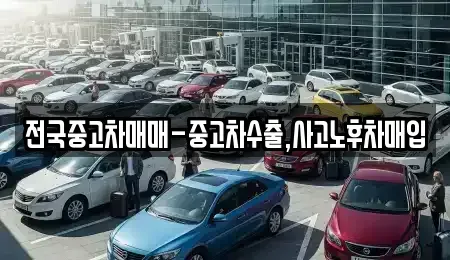 서울 종로구 장사동 중고차매입 전문 전국중고차매매-중고차수출,사고노후차매입