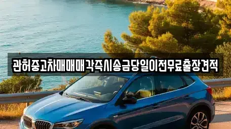 서울 종로구 종로5가 중고차 전문 관허중고차매매매각즉시송금당일이전무료출장견적