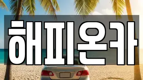 서울 종로구 종로5가 중고차 전문 해피온카