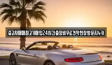 서울 종로구 종로5가 중고차매입 전문 중고차매매최고가매입24시간출장비무료견적현장방문지누카