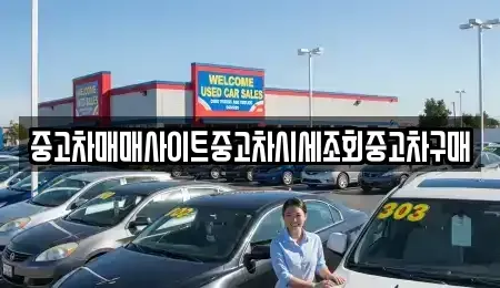 서울 종로구 중고차 전문 중고차매매사이트중고차시세조회중고차구매