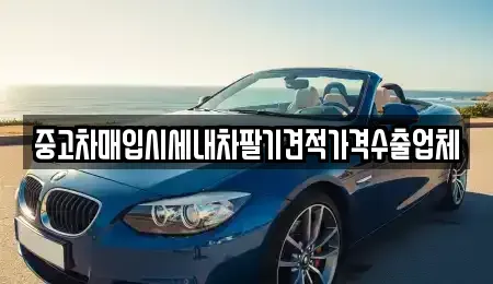 서울 종로구 중고차매입 전문 중고차매입시세내차팔기견적가격수출업체