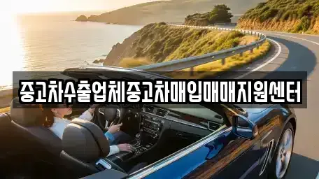 서울 종로구 중고차매입 전문 중고차수출업체중고차매입매매지원센터