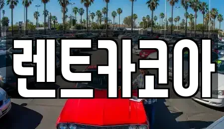 서울 종로구 청진동 렌트카 전문 렌트카코아
