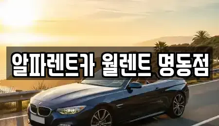 서울 종로구 청진동 렌트카 전문 알파렌트카 월렌트 명동점