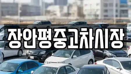 서울 종로구 청진동 중고차매매 전문 장안평중고차시장