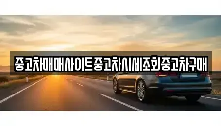 서울 종로구 청진동 중고차매매 전문 중고차매매사이트중고차시세조회중고차구매