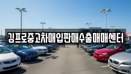 서울 종로구 청진동 중고차매입 전문 김프로중고차매입판매수출매매센터
