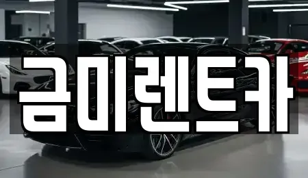 서울 종로구 체부동 렌트카 전문 금미렌트카