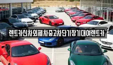 서울 종로구 체부동 장기렌트카 전문 렌트카신차외제차중고차단기장기대여렌트카