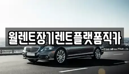 서울 종로구 체부동 장기렌트카,중고차,렌트카,단기렌트카,중고차매입,중고차매매