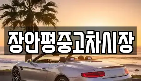 서울 종로구 체부동 중고차 전문 장안평중고차시장