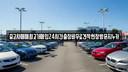서울 종로구 체부동 중고차 전문 중고차매매최고가매입24시간출장비무료견적현장방문지누카