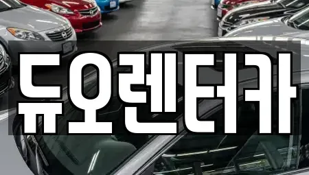 서울 종로구 훈정동 렌트카 전문 듀오렌터카