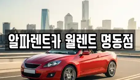 서울 종로구 훈정동 렌트카 전문 알파렌트카 월렌트 명동점
