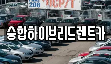 서울 중랑구 묵동 단기렌트카 전문 승합하이브리드렌트카