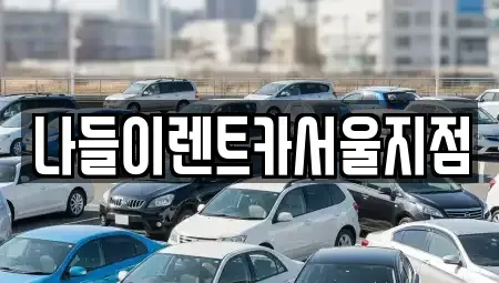 서울 중랑구 묵동 렌트카 전문 나들이렌트카서울지점