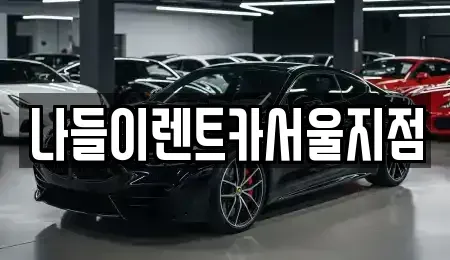 서울 중랑구 묵동 렌트카 전문 나들이렌트카서울지점