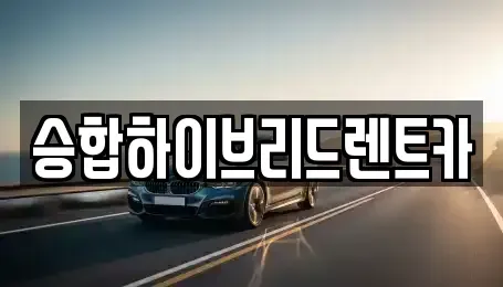서울 중랑구 묵동 장기렌트카 전문 승합하이브리드렌트카