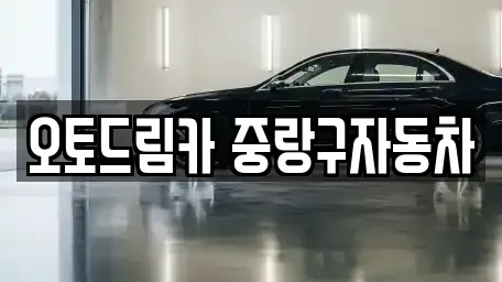 서울 중랑구 묵동 중고차 전문 오토드림카 중랑구자동차