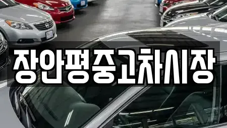 서울 중랑구 묵동 중고차 전문 장안평중고차시장