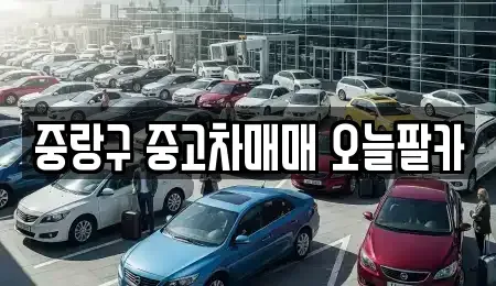 서울 중랑구 묵동 중고차 전문 중랑구 중고차매매 오늘팔카