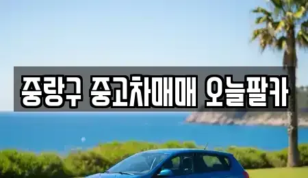 서울 중랑구 묵동 중고차 전문 중랑구 중고차매매 오늘팔카