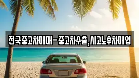 서울 중랑구 묵동 중고차매입 전문 전국중고차매매-중고차수출,사고노후차매입