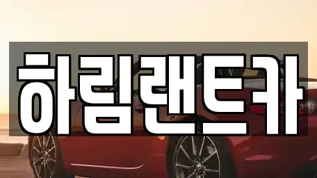 서울특별시 강남구 세곡동 단기렌트카 전문 하림랜트카