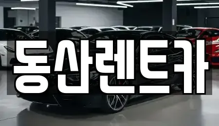 서울특별시 강남구 세곡동 렌트카 전문 동산렌트카
