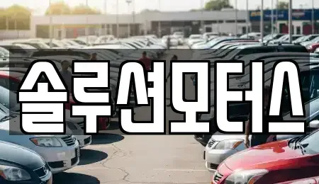 서울특별시 강남구 세곡동 렌트카 전문 솔루션모터스