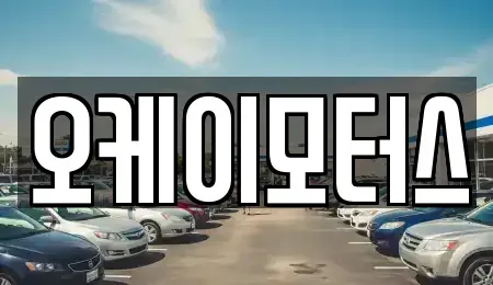 서울특별시 강남구 세곡동 렌트카 전문 오케이모터스