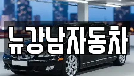 서울특별시 강남구 세곡동 중고차 전문 뉴강남자동차