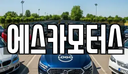 서울특별시 강남구 세곡동 중고차 전문 에스카모터스