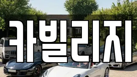 서울특별시 강남구 세곡동 중고차 전문 카빌리지