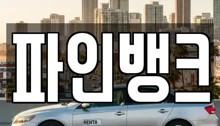 서울특별시 강남구 세곡동 중고차 전문 파인뱅크