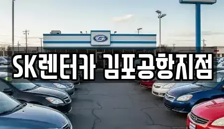 서울특별시 강서구 오곡동 렌트카 전문 SK렌터카 김포공항지점