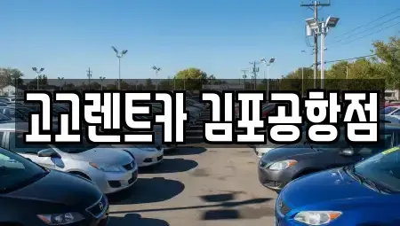 서울특별시 강서구 오곡동 렌트카 전문 고고렌트카 김포공항점