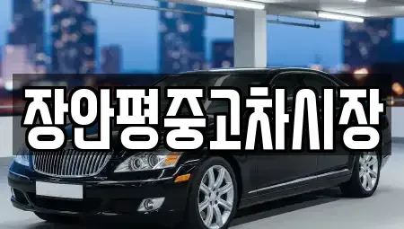 서울특별시 강서구 오곡동 중고차매매 전문 장안평중고차시장