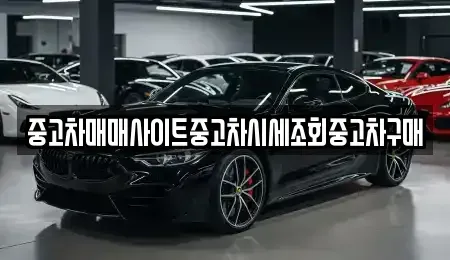 서울특별시 강서구 오곡동 중고차매매 전문 중고차매매사이트중고차시세조회중고차구매