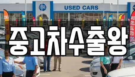서울특별시 강서구 오곡동 중고차매매 전문 중고차수출왕