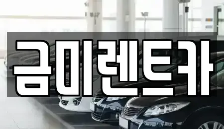 서울특별시 구로구 가리봉동 렌트카 전문 금미렌트카