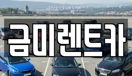 서울특별시 구로구 신도림동 단기렌트카 전문 금미렌트카