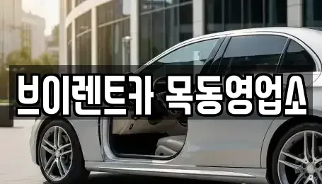 서울특별시 구로구 신도림동 단기렌트카 전문 브이렌트카 목동영업소