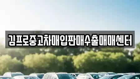 서울특별시 구로구 신도림동 중고차 전문 김프로중고차매입판매수출매매센터