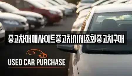 서울특별시 구로구 신도림동 중고차 전문 중고차매매사이트중고차시세조회중고차구매