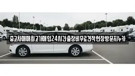 서울특별시 구로구 신도림동 중고차 전문 중고차매매최고가매입24시간출장비무료견적현장방문지누카