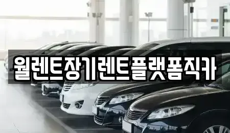 서울특별시 도봉구 창동 장기렌트카 전문 월렌트장기렌트플랫폼직카
